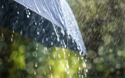 Should You Purchase Umbrella Insurance?