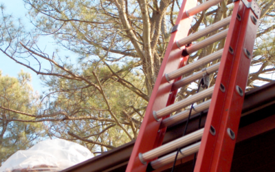 The Importance of Inspecting Your Home Ladder