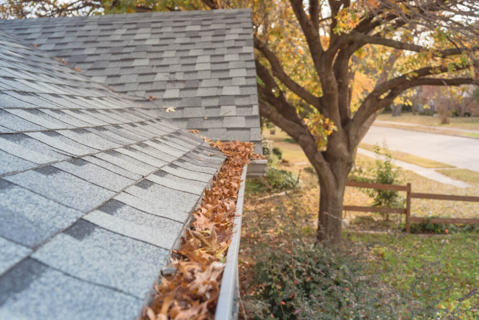 How to Prevent Clogged Gutters and Downspouts Auburn Insurance Realty